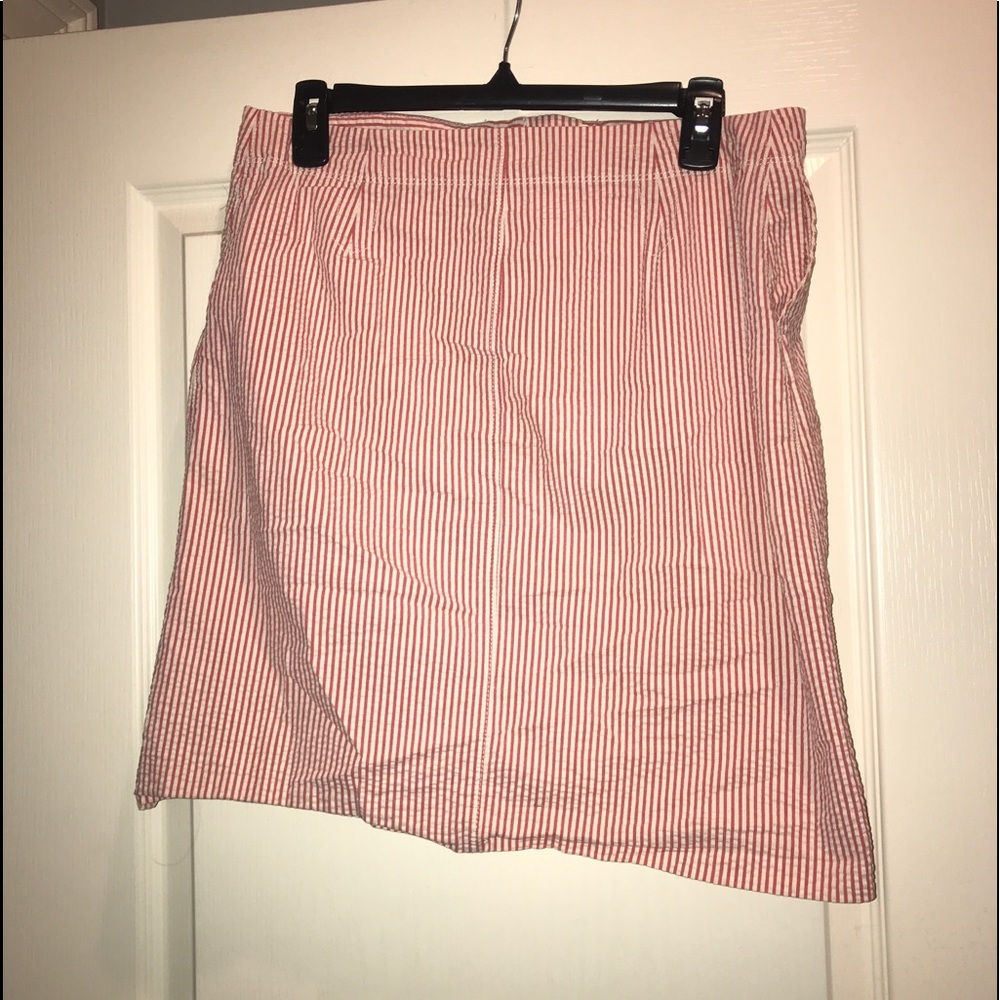J Crew skirt